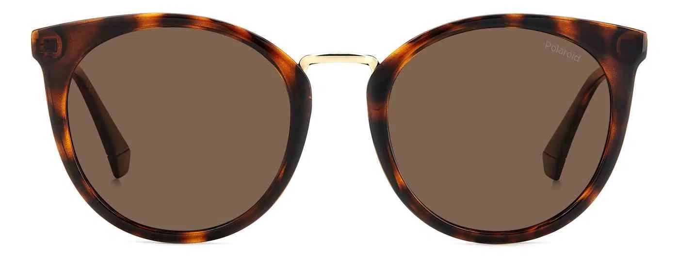 Polaroid Core PLD4146 Eyeglasses - view 8